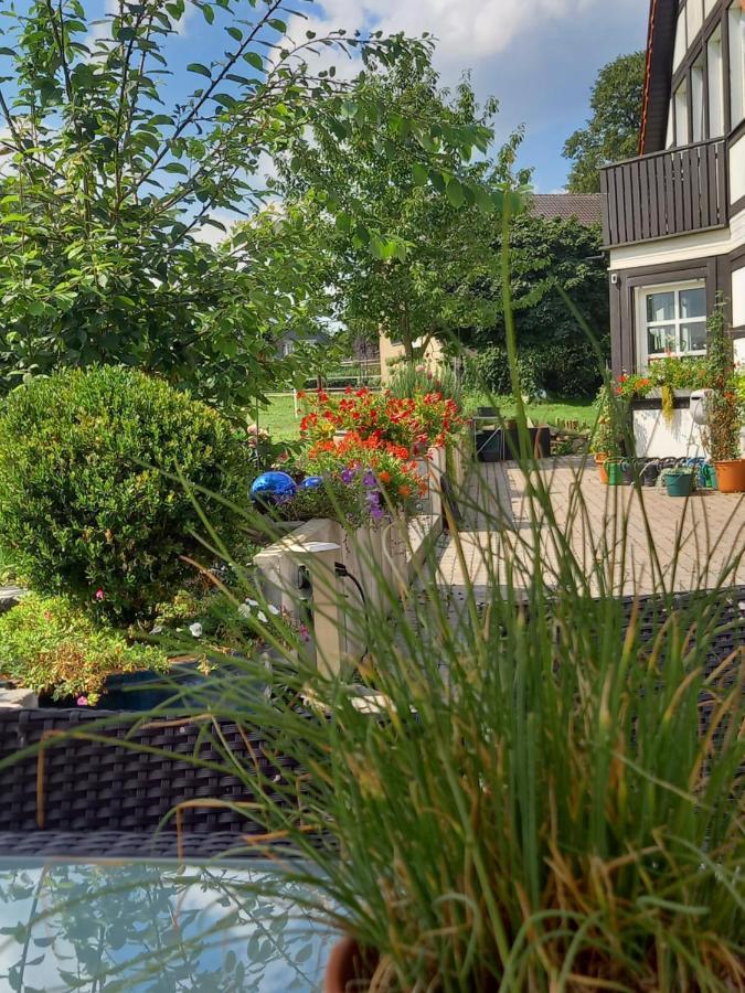 Landidylle Mit Garten, Whirlpool Und Klima Reken Екстериор снимка